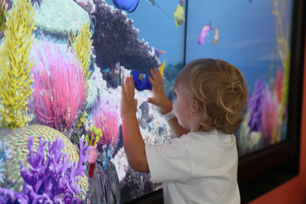 A toddler interacts with the aquarium wall.