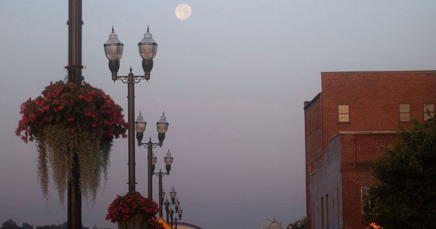 A row of light posts with purple petunia flower baskets in downtown Johnson City. It's dawn and the moon still lingers in the sky.