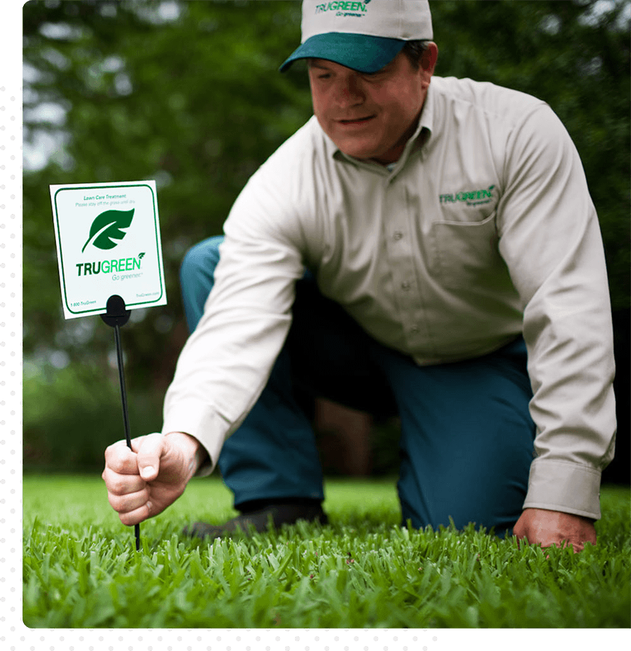 A Trugreen team member bends down to put a Trugreen sign in someone's yard.