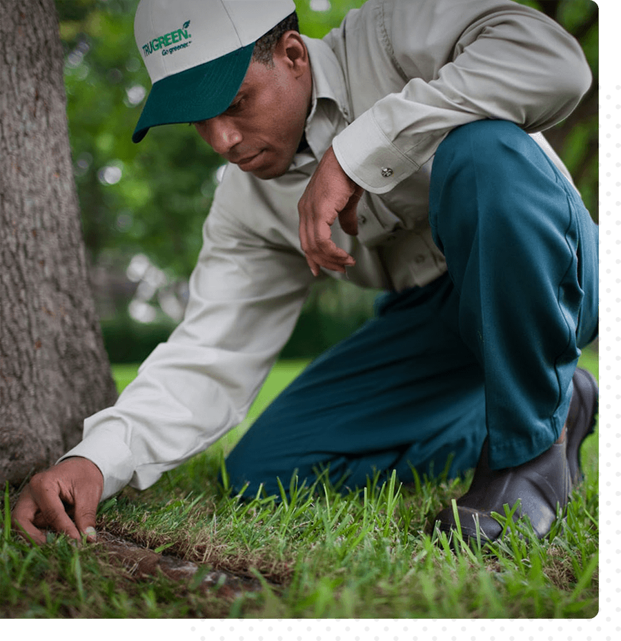 A Trugreen team member is taking a measurement in the grass.