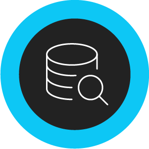 Icon of a database with a magnifying glass
