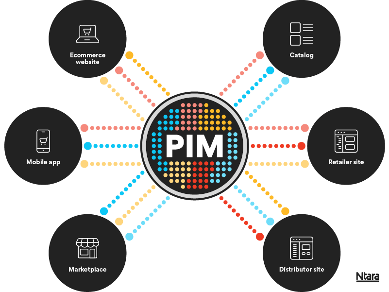 5 Best Software to Make a Transparent PNG in 2023