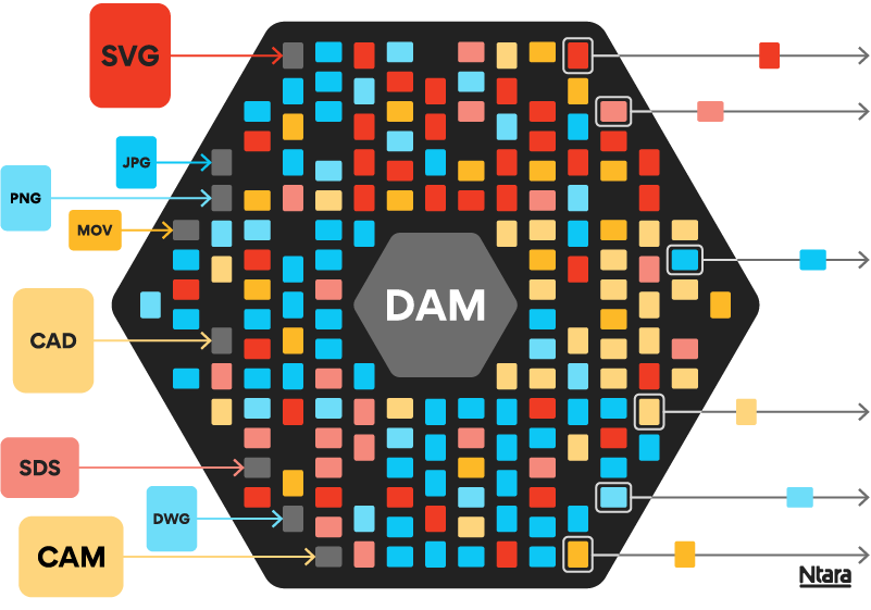 Illustration showing what digital asset management (DAM) software is. In the center, a large black hexagon with DAM in the center holds dozens of red, blue, and yellow squares representing digital assets. To the left, individual colorful squares show the file types that get ingested into DAM—SVG, JPG, MOV, PNG, CAD, SDS, etc. On the right, arrows pointing right indicate various file types being syndicated out to to downstream channels. 