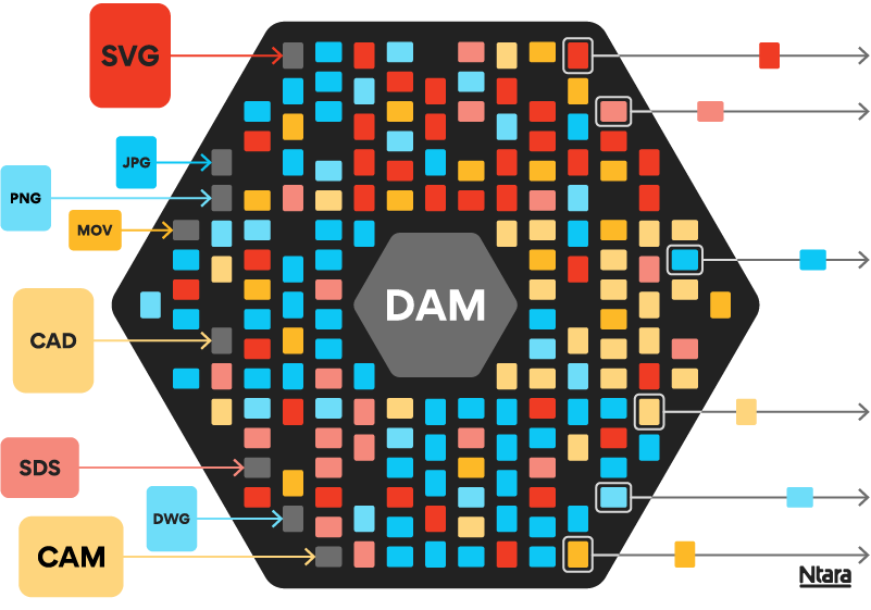 Digital asset management - What is Illustration showing what digital asset management (DAM) software is. In the center, a large black hexagon with DAM in the center holds dozens of red, blue, and yellow squares representing digital assets. To the left, individual colorful squares show the file types that get ingested into DAM—SVG, JPG, MOV, PNG, CAD, SDS, etc. On the right, arrows pointing right indicate various file types being syndicated out to to downstream channels.