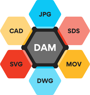 Illustration showing what types of files go into a digital asset management system. At the center is a black hexagon with the acronym DAM in the center Overlapping that hexagon on each side is a different colored hexagon: JPG in blue, SDS in light red, MOV in yellow, DWG in light blue, SVG in red, and CAD in light blue.