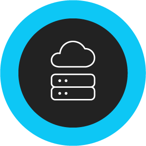 Icon of a cloud storage system with two stacked server units inside a blue circle.