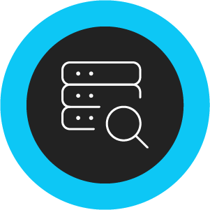 Icon of a server with a magnifying glass inside a blue circle.