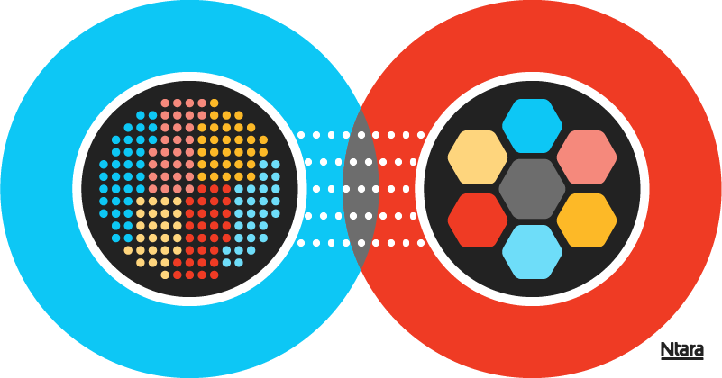 Abstract illustration showing PIM and DAM software intersecting. On the left, a blue circle with a black circle in the center. Inside the black circle are smaller circles in various colors, representing different types of product data. On the right, a red circle with a black circle in the center. Inside the black circle are hexagons in various colors representing different types of digital assets.