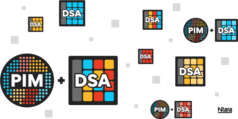 Multiple illustrations representing PIM and DSA in various sizes and colors. The PIM icon is a black circle with smaller circles in various colors inside, representing different types of data. The DSA icon is a black box with squares and rectangles in various colors inside, representing different insights.