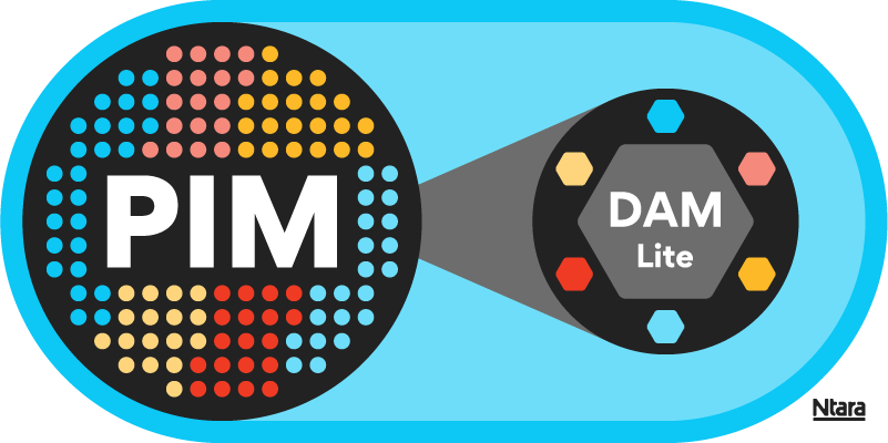 Illustration of a blue oval with two black circles in the center. On the left, the circle says PIM in white letters, surrounded by smaller circles in red, blue, and yellow. On the right, a smaller black circle says DAM Lite in white letters.