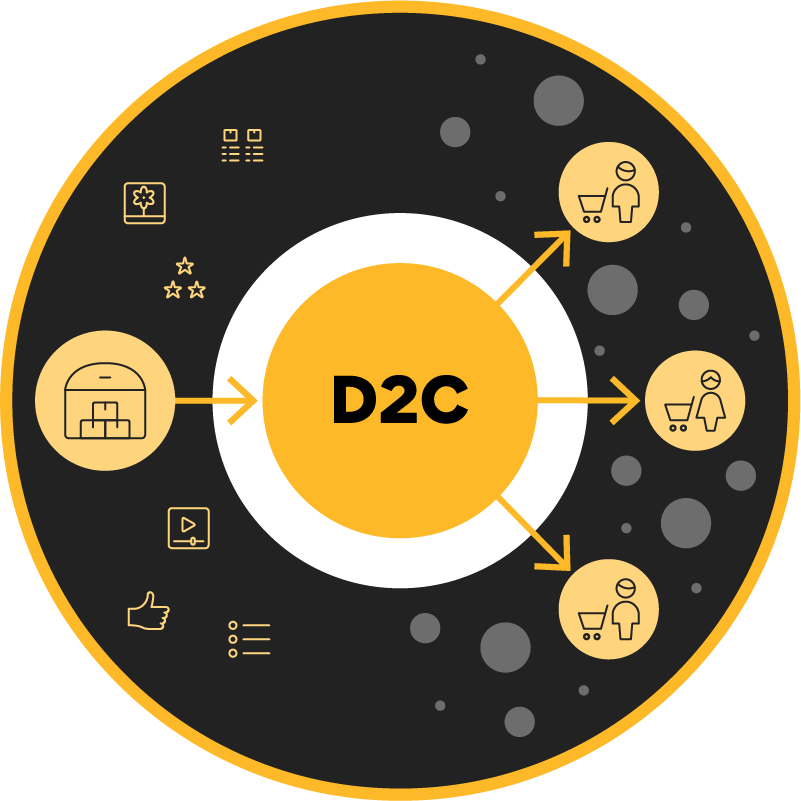 D2C Ecommerce